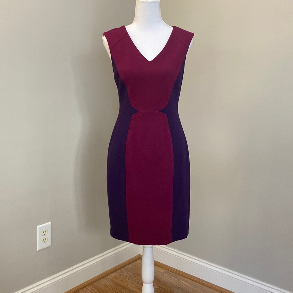 Purple and Magenta Fitted Sleeveless Sheath Dress with Slimming Design & V-Neck